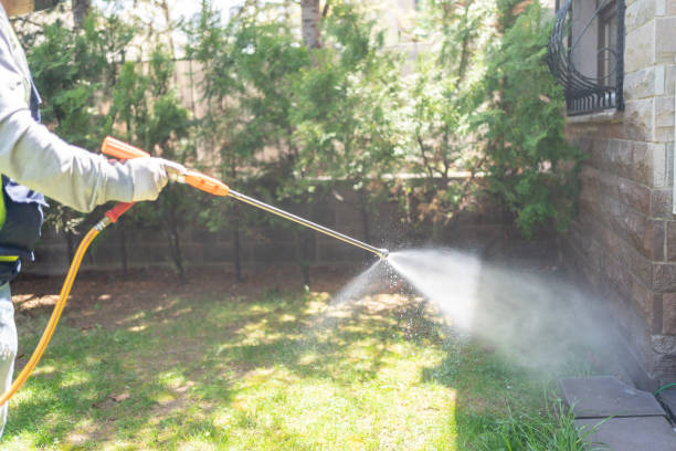 Best Lawn Pest Control  in Princeton Junction, NJ